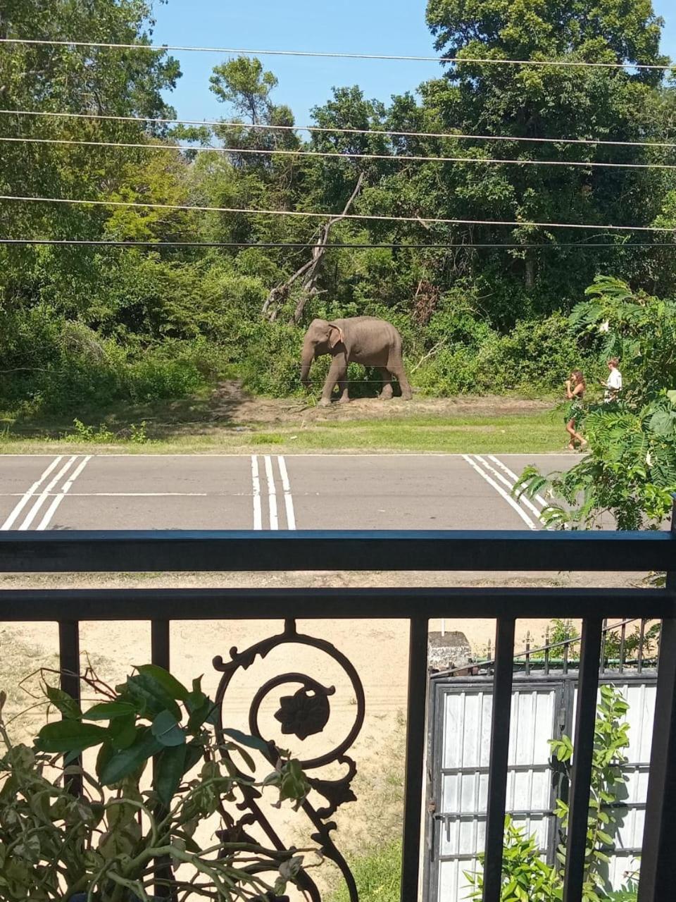 Peacock Villa Resort ウダワラウェ 部屋 写真
