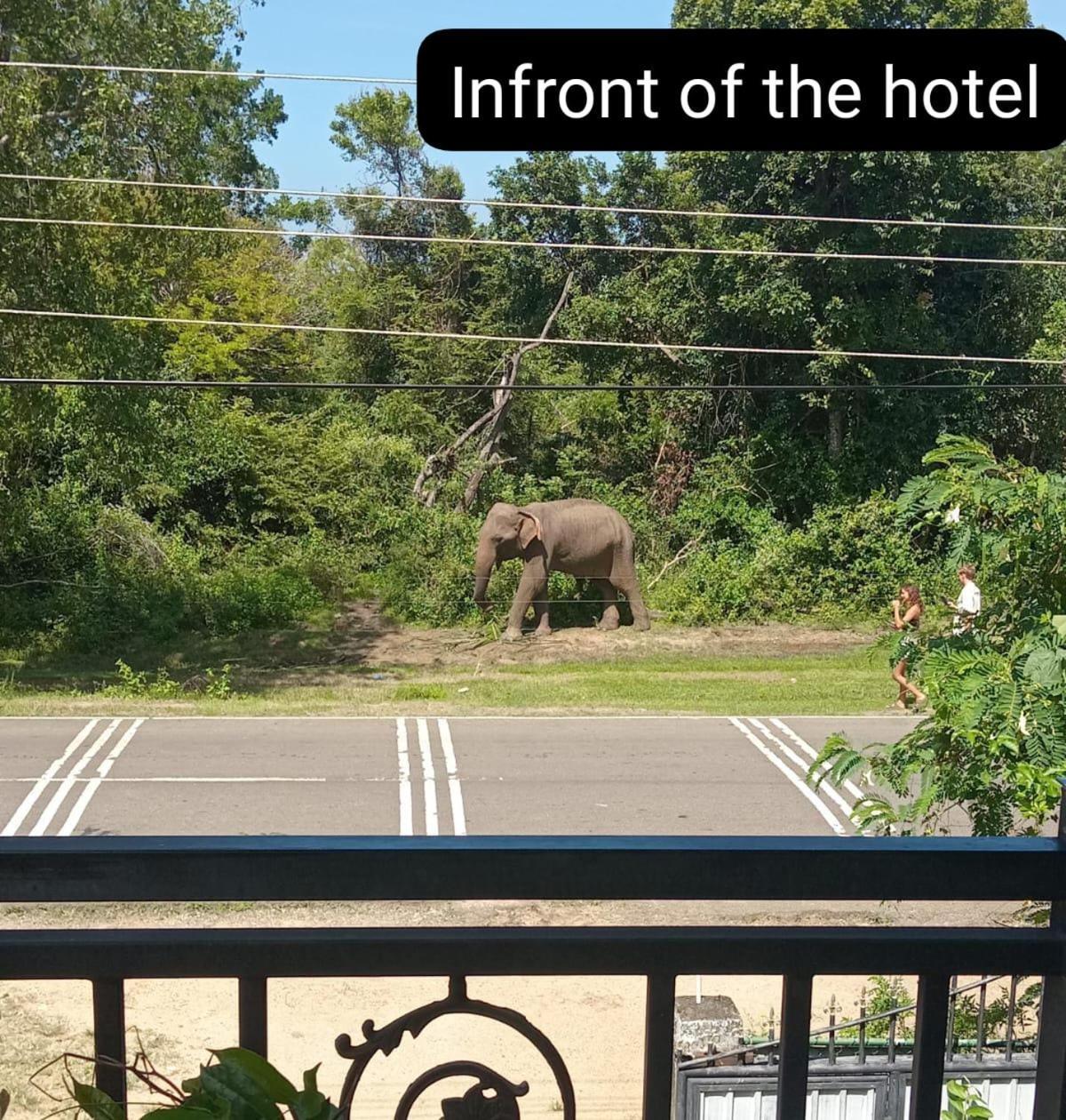 Peacock Villa Resort ウダワラウェ エクステリア 写真